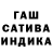 Каннабис сатива Alexander avarn